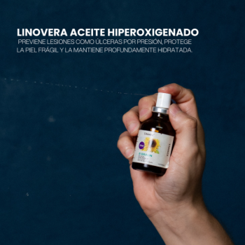 Captura de pantalla 2025-11-27 001952