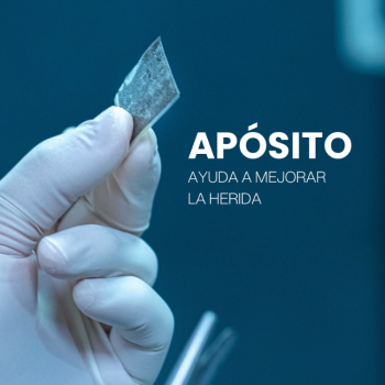 Captura de pantalla 2025-11-27 002029